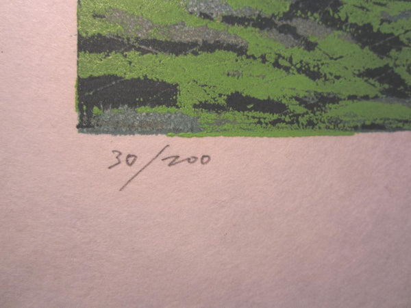 A Huge Orig Japanese Woodblock Print Pencil-Signed Limit# Fujita Fumio Forest Trail A 1992