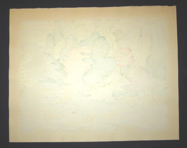 AN EXTRA LARGE Orig Japanese Woodblock Print LIMIT NUMBER PENCIL SIGN Kitaoka Fumio Koran Valley Maple