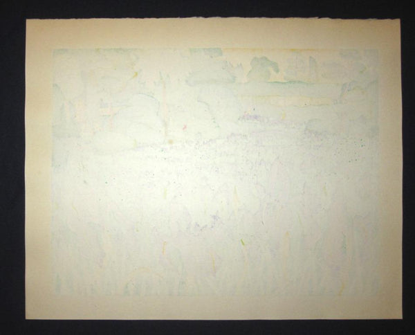 AN EXTRA LARGE Orig Japanese Woodblock Print LIMIT NUMBER PENCIL SIGN Kitaoka Fumio Katsu Iris