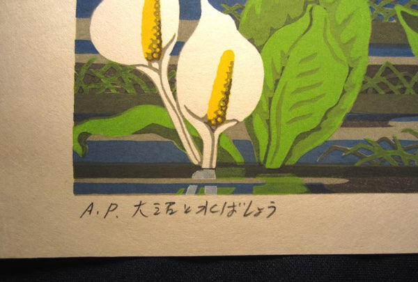 A Huge Orig Japanese Woodblock Print PENCIL Sign LIMIT# Yasushi Ohmoto Onuma and Water Basho