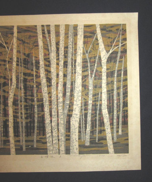 A Huge Orig Japanese Woodblock Print Pencil-Signed Limit# Fujita Fumio White Birch A 1978