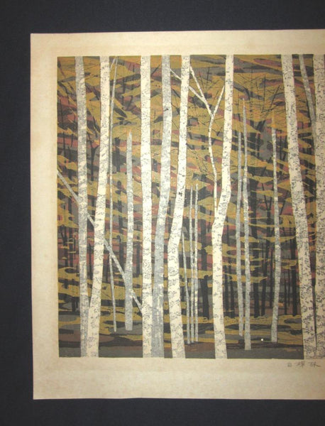 A Huge Orig Japanese Woodblock Print Pencil-Signed Limit# Fujita Fumio White Birch A 1978