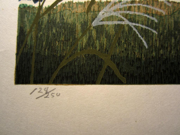 A Great Orig Japanese Woodblock Print Seiji Sano Summer Dragonfly Sky Four Seasons (2)