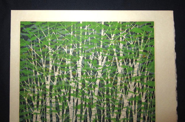 A Great Huge Orig Japanese Woodblock Print Pencil-Signed Limit# Fujita Fumio Green Reflection, 1979 (2)