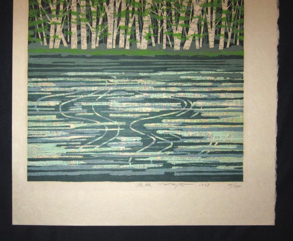 A Great Huge Orig Japanese Woodblock Print Pencil-Signed Limit# Fujita Fumio Green Reflection, 1979 (2)