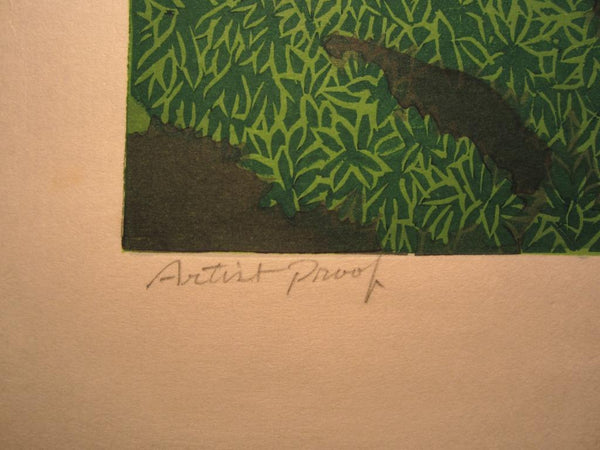 A Huge Orig Japanese Woodblock Print LIMIT NUMBER PENCIL SIGN Kitaoka Fumio Secret Yakushima Island 1995 Two Water Marks
