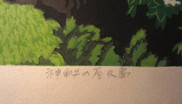 A Huge Orig Japanese Woodblock Print LIMIT NUMBER PENCIL SIGN Kitaoka Fumio Secret Yakushima Island 1995 Two Water Marks