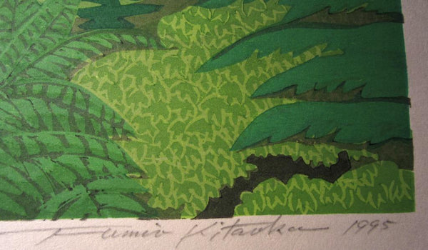 A Huge Orig Japanese Woodblock Print LIMIT NUMBER PENCIL SIGN Kitaoka Fumio Secret Yakushima Island 1995 Two Water Marks