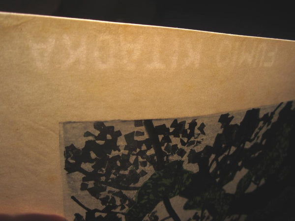 A Huge Orig Japanese Woodblock Print LIMIT NUMBER PENCIL SIGN Kitaoka Fumio Secret Yakushima Island 1995 Two Water Marks
