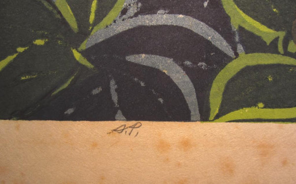A HUGE Orig Japanese Woodblock Print PENCIL Sign Limit# Hashimoto Okiie Camellia 1974