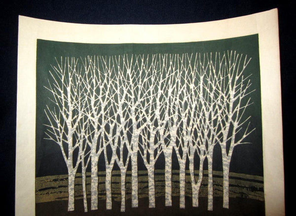 A Great Orig Japanese Woodblock Print Pencil-Signed Limit# Fujita Fumio Waterside Forest, 1975