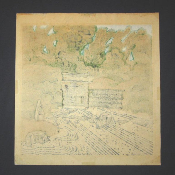 A HUGE Orig Japanese Woodblock Print PENCIL Sign Limit# Hashimoto Okiie Garden of Back Shed 1971