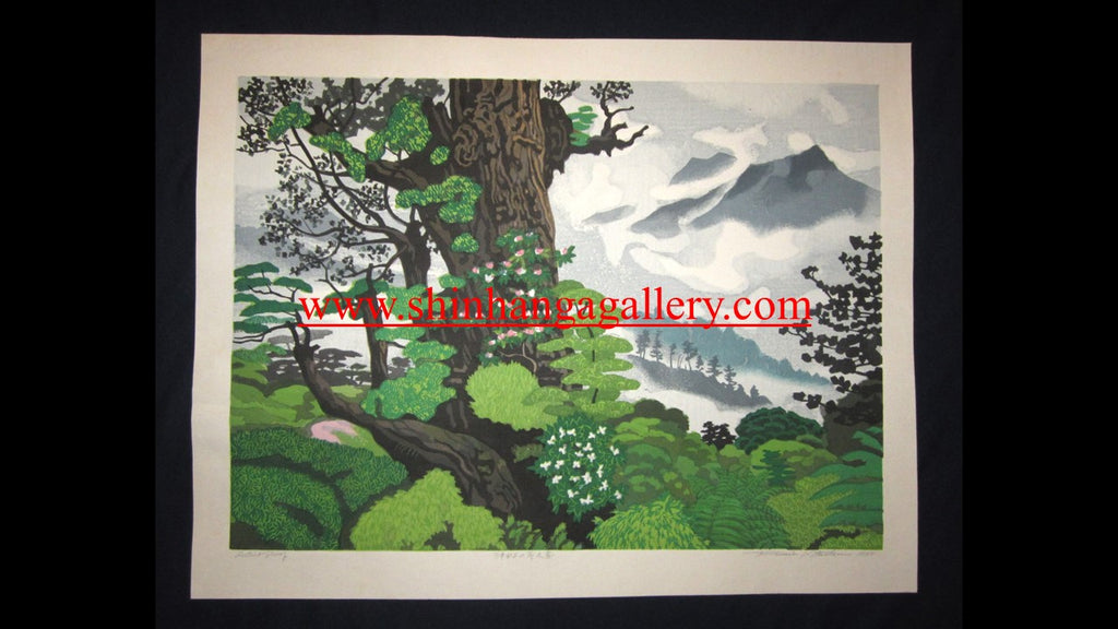 A Huge Orig Japanese Woodblock Print LIMIT NUMBER PENCIL SIGN Kitaoka Fumio Secret Yakushima Island 1995 Two Water Marks