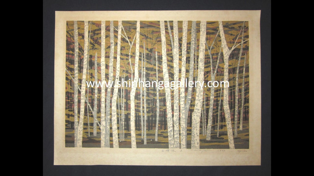 A Huge Orig Japanese Woodblock Print Pencil-Signed Limit# Fujita Fumio White Birch A 1978