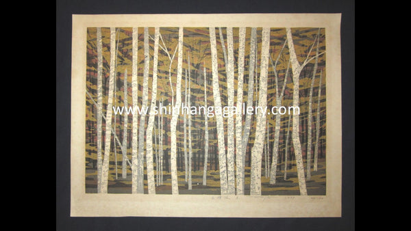 A Huge Orig Japanese Woodblock Print Pencil-Signed Limit# Fujita Fumio White Birch A 1978