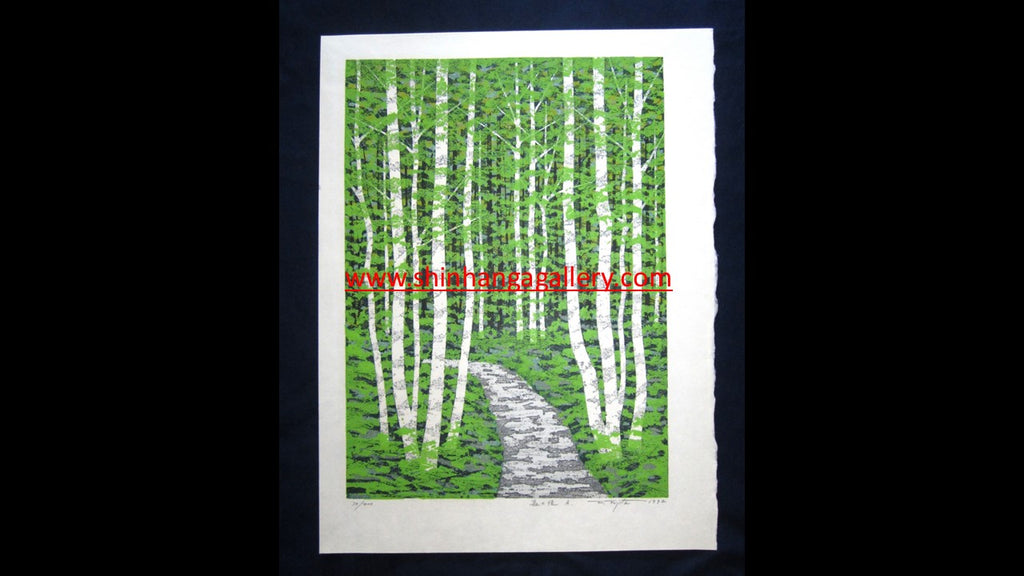 A Huge Orig Japanese Woodblock Print Pencil-Signed Limit# Fujita Fumio Forest Trail A 1992