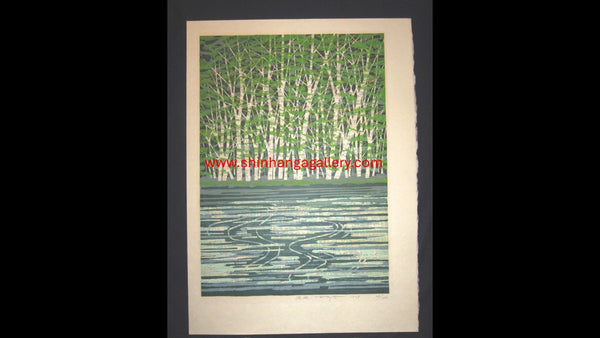 A Great Huge Orig Japanese Woodblock Print Pencil-Signed Limit# Fujita Fumio Green Reflection, 1979 (2)