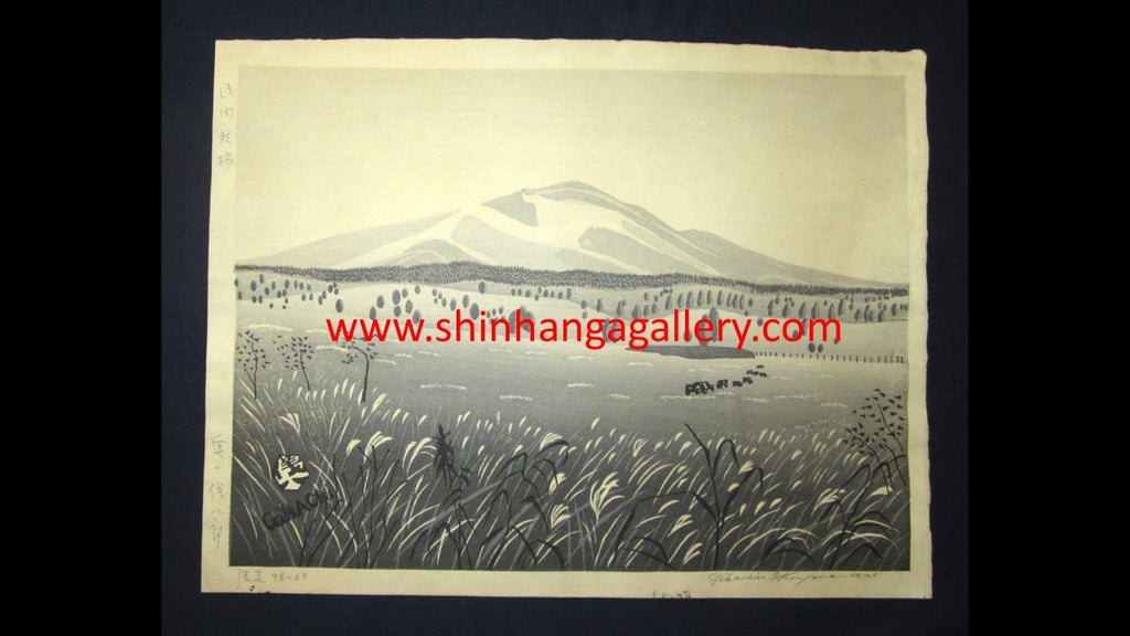 A Huge Orig Japanese Woodblock Print Okuyama Jihachiro PENCIL Sign LIMITED Edition Asama Ranch 1944 Japanese Landscape