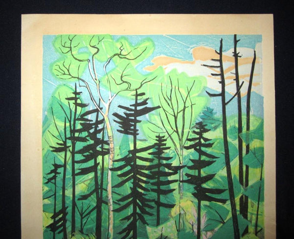 Large Original Japanese Woodblock Print Pencil-Sign Limit# Kitaoka Fumio New Green 1976
