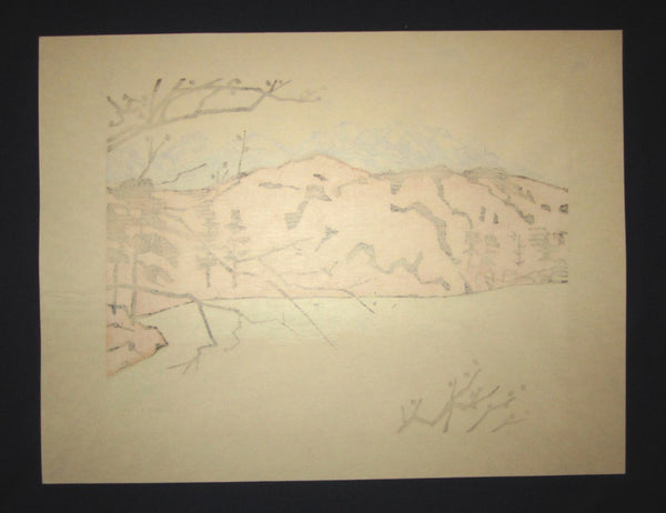 A Huge Orig Japanese Woodblock Print LIMIT# Miyata Saburo Shinshu Nagano Prefecture Twenty Sceneries (20)