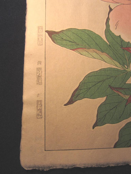 A Great Japanese Woodblock Print Kawarazaki Unsodo WATERMARK Chinese Peony