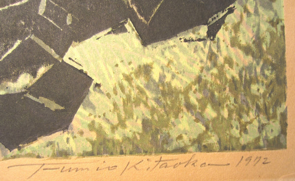 A Huge Orig Japanese Woodblock Print PENCIL Sign Limit# Kitaoka Fumio Waterfall Rainbow 1972