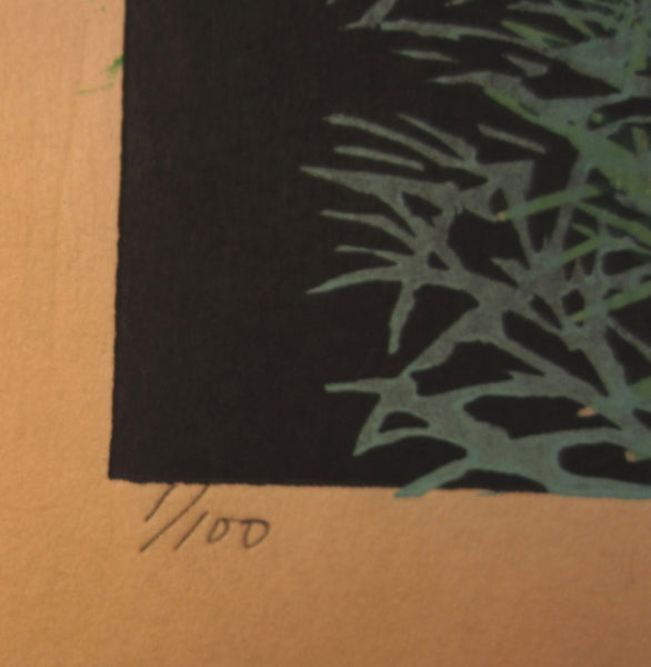 A HUGE Orig Japanese Woodblock Print LIMIT# PENCIL SIGN Hayashi Waichi Golden-Rayed Cosmos 1981