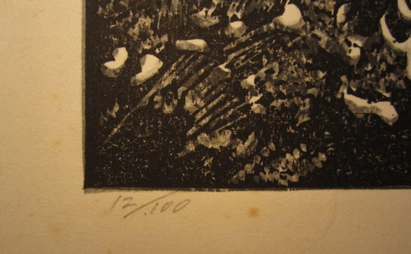 A Huge Orig Japanese Woodblock Print Kitaoka Fumio PENCIL Sign Limit# Shimanami Coast
