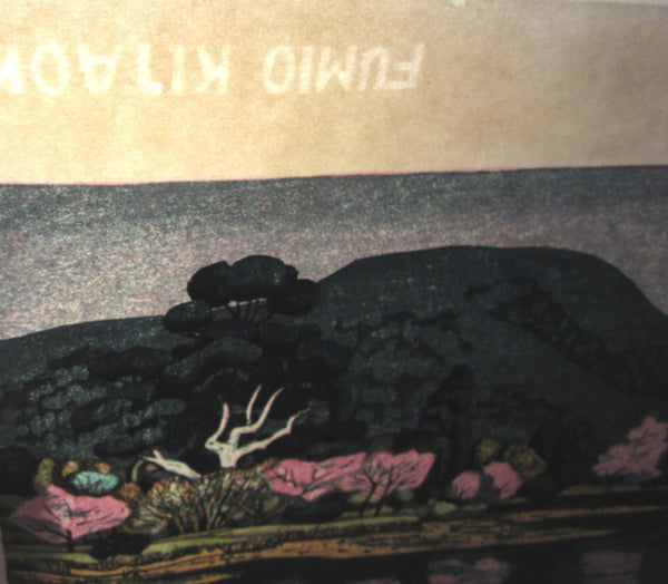 A Huge Orig Japanese Woodblock Print Kitaoka Fumio PENCIL Sign Limit# Spring at Osawaike