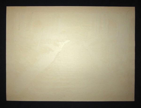 A HUGE Orig Japanese Woodblock Print Limited# Pencil Sign Toyohisa Inoue Empty Mountain