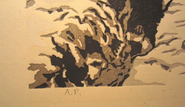 A HUGE Orig Japanese Woodblock Print Limited# Pencil Sign Toyohisa Inoue Empty Mountain