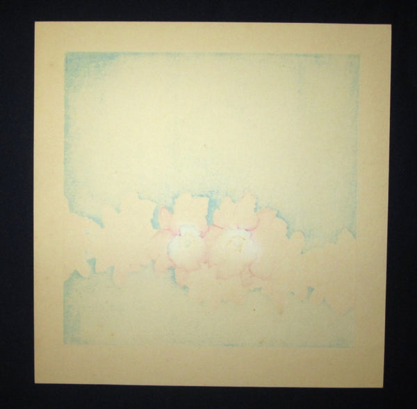A Great Orig Japanese Woodblock Print Pencil Signed Limit# Taika Kino Shita Cuttleya Orchid
