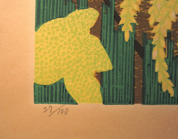 A Huge Orig Japanese Woodblock Print Kitaoka Fumio PENCIL Sign Limit# Shisen-do TWO WATER MARK 1982