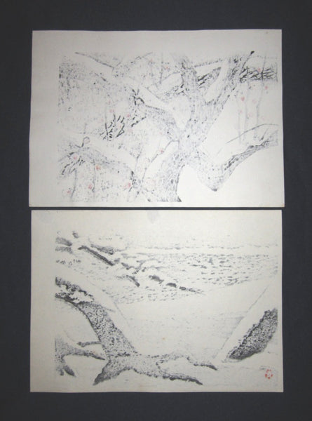 Two Great Orig Japanese woodblock print Aoyama Masaharu (Seiji) Snow, Plum and Tree