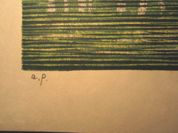 A Great Huge Orig Japanese Woodblock Print Pencil-Signed Limit# Fujita Fumio New Green at Riverside B 1997