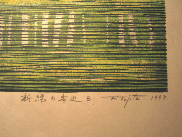 A Great Huge Orig Japanese Woodblock Print Pencil-Signed Limit# Fujita Fumio New Green at Riverside B 1997