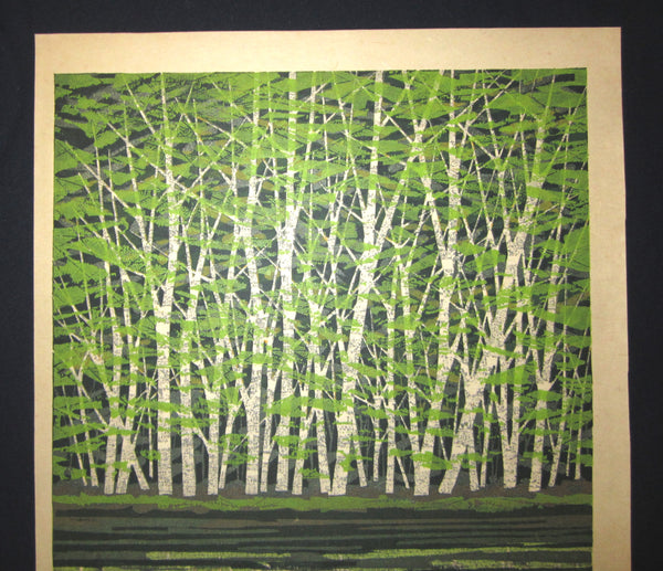 A Great Huge Orig Japanese Woodblock Print Pencil-Signed Limit# Fujita Fumio Green Reflection, 1979