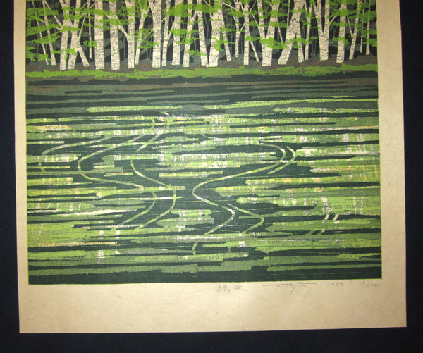 A Great Huge Orig Japanese Woodblock Print Pencil-Signed Limit# Fujita Fumio Green Reflection, 1979
