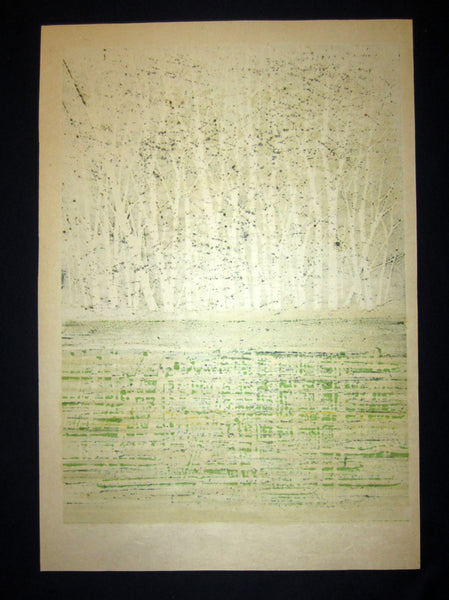 A Great Huge Orig Japanese Woodblock Print Pencil-Signed Limit# Fujita Fumio Green Reflection, 1979