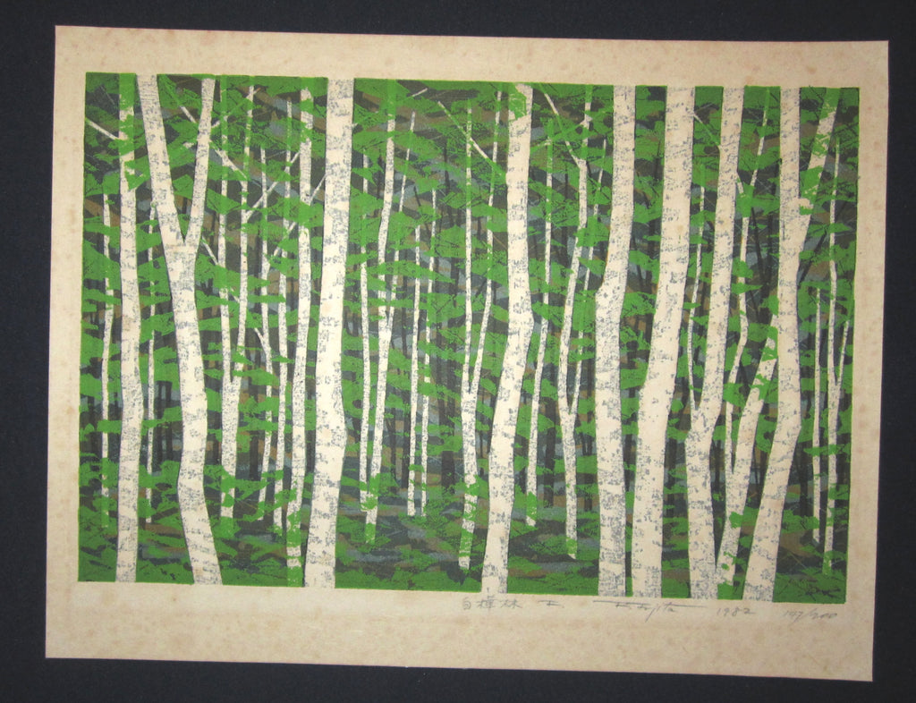 A Great Orig Japanese Woodblock Print Pencil-Signed Limit# Fujita Fumio White Birch Forest F 1982