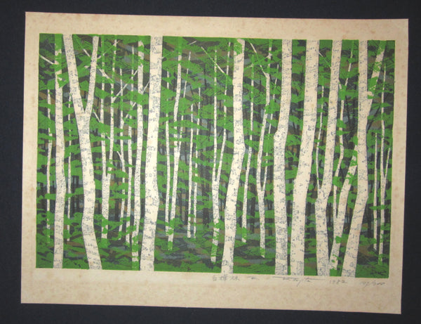 A Great Orig Japanese Woodblock Print Pencil-Signed Limit# Fujita Fumio White Birch Forest F 1982