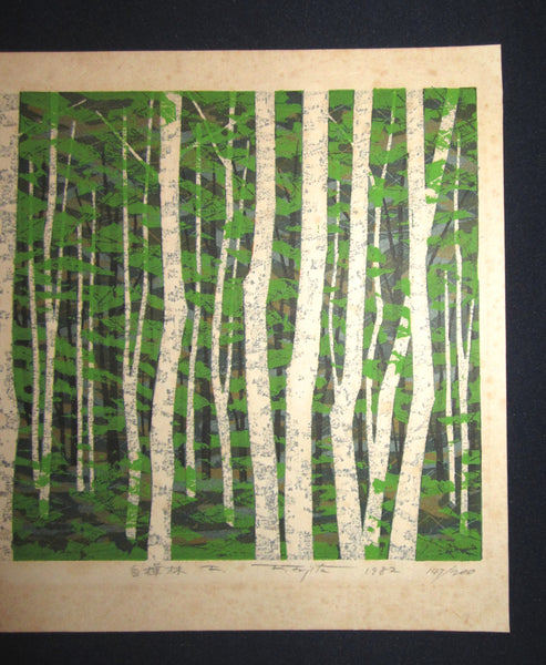 A Great Orig Japanese Woodblock Print Pencil-Signed Limit# Fujita Fumio White Birch Forest F 1982