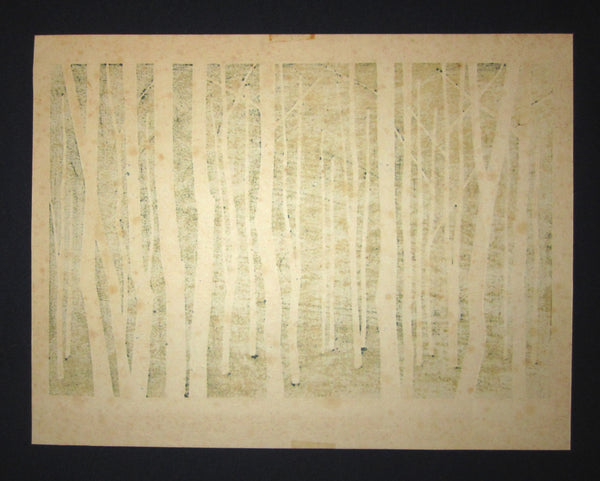 A Great Orig Japanese Woodblock Print Pencil-Signed Limit# Fujita Fumio White Birch Forest F 1982