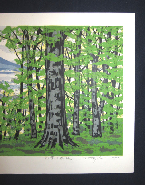 A Great Huge Orig Japanese Woodblock Print Pencil-Signed Limit# Fujita Fumio Breeze Creek