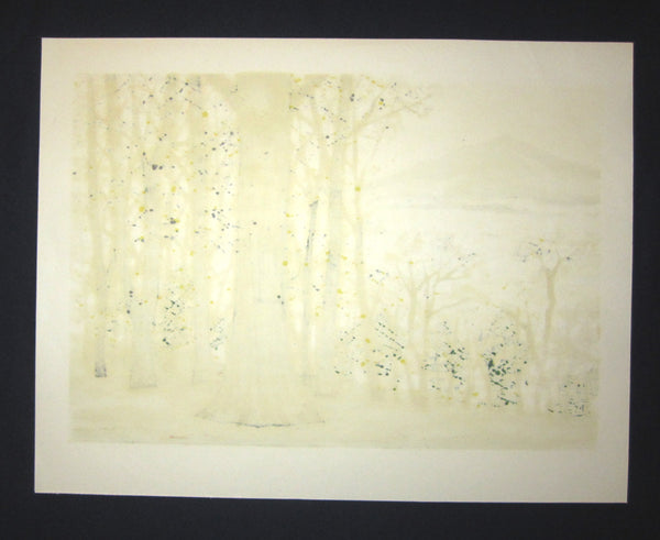 A Great Huge Orig Japanese Woodblock Print Pencil-Signed Limit# Fujita Fumio Breeze Creek
