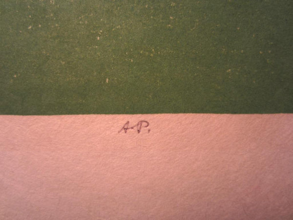 A HUGE Orig Japanese Woodblock Print PENCIL Sign Limit# Hashimoto Okiie Garden of Sosui 1977 (2)