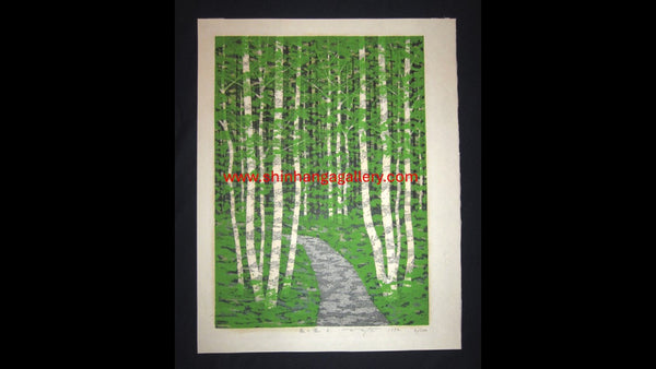 A Huge Orig Japanese Woodblock Print Pencil-Signed Limit# Fujita Fumio Forest Trail A 1992 (3)