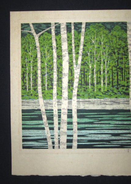 Huge Orig Japanese Woodblock Print Pencil-Signed Limited Edition Fujita Fumio River of a Green Leaves A