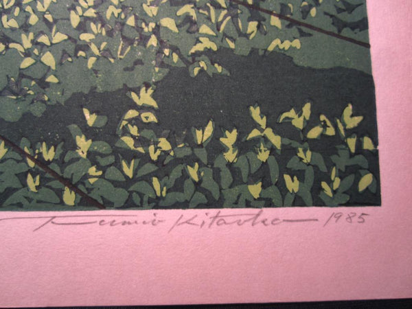 AN EXTRA LARGE Orig Japanese Woodblock Print LIMIT NUMBER PENCIL SIGN Kitaoka Fumio Nishio Tea Garden