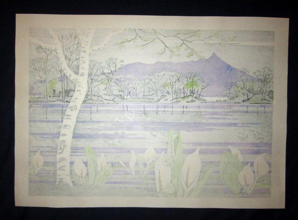 A Huge Orig Japanese Woodblock Print PENCIL Sign LIMIT# Yasushi Ohmoto Onuma and Water Basho